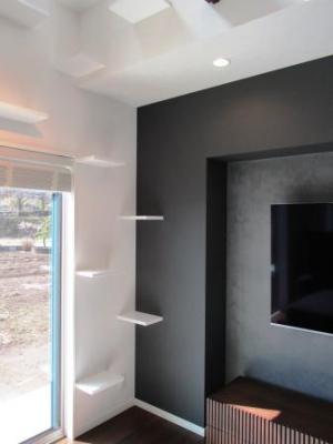 猫ちゃんもうれしいキャットウォーク